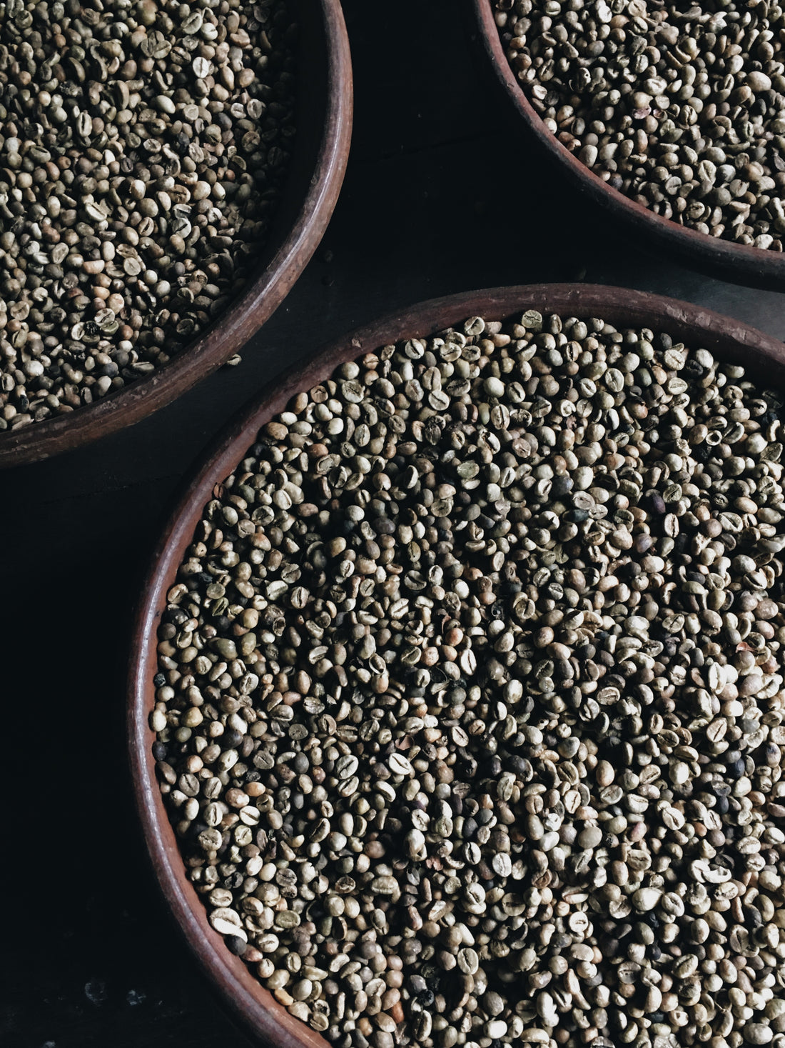 Exploring Coffee Bean Varieties: Meet the Fabulous Four